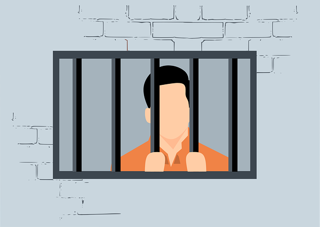 Mass Deportation and Arrests