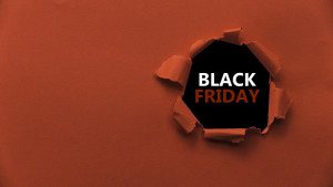 boycott ice: corporate complicity: black friday 2025