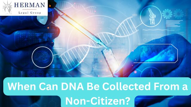 when can government collect DNA from non-citizen? by expert richard t. herman