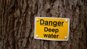 , ICE arrest during adjustment of status interview, ICE enforcement USCIS, DHS ICE USCIS coordination, green card interview detention, ICE interior enforcement immigration,