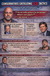 conservatives criticize ice