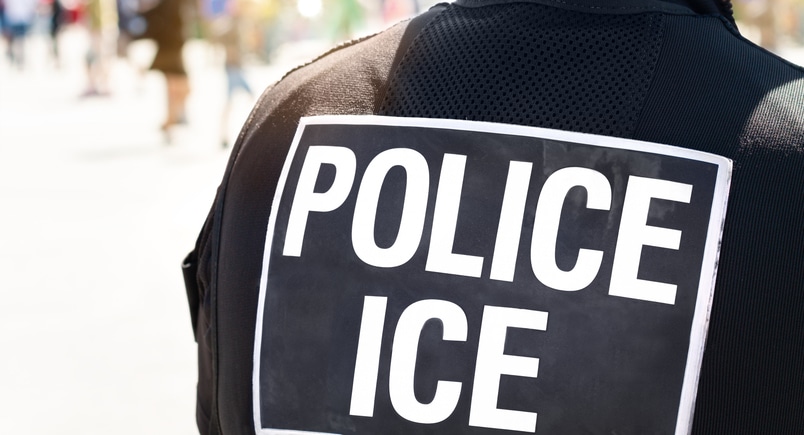 ICE vendor ecosystem explained, ICE contractors by service category, ICE transportation and deportation flight contractors, ICE hotel and lodging contractors, ICE food service and catering contractors,